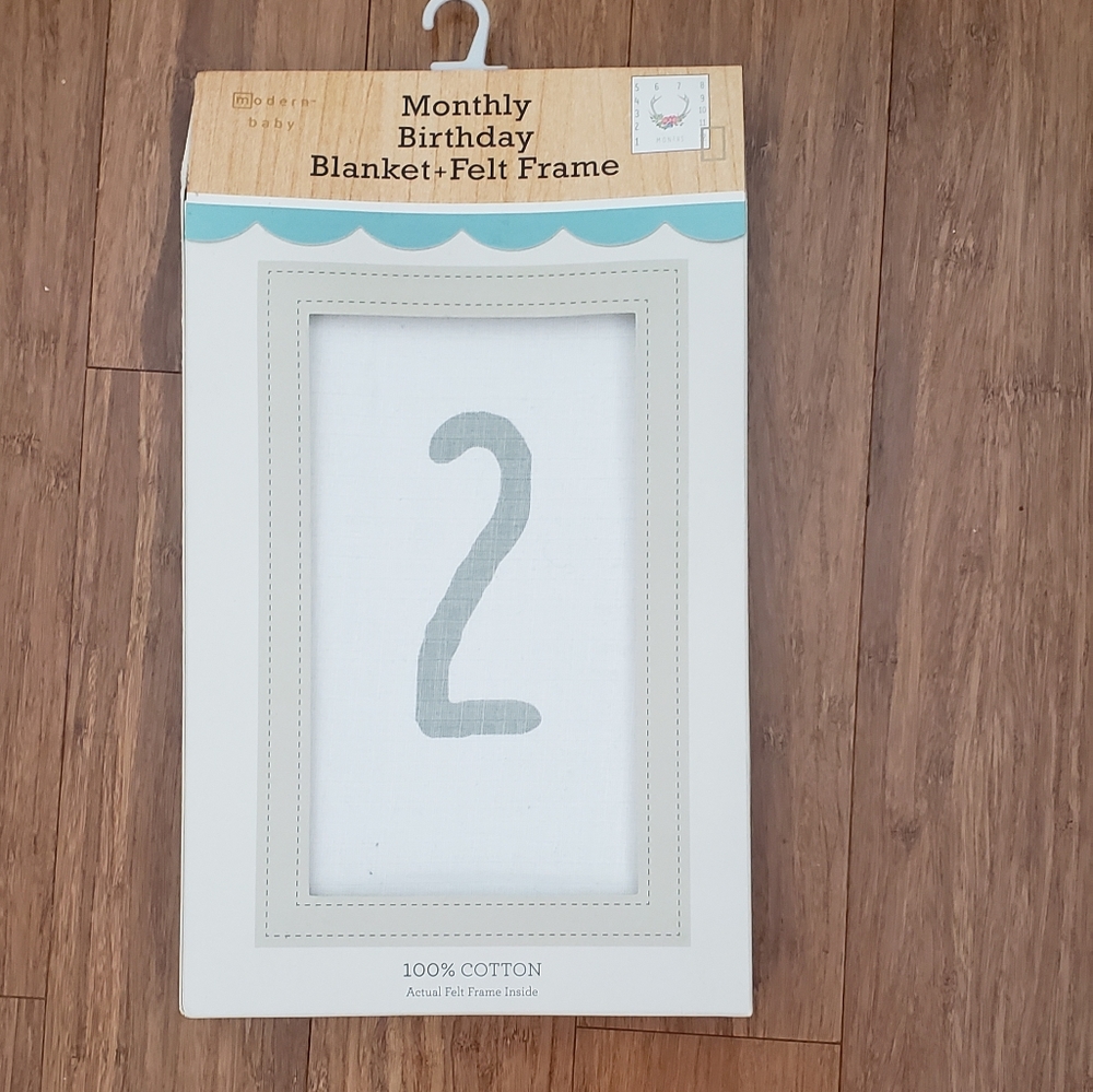 Baby Monthly Birthday Blanket
